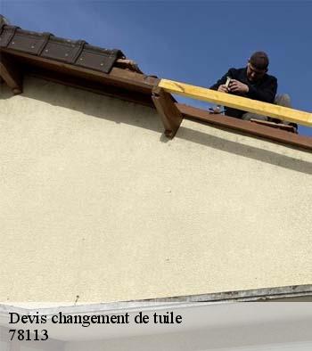 Devis changement de tuile